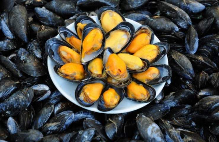 Cozze nel piatto 