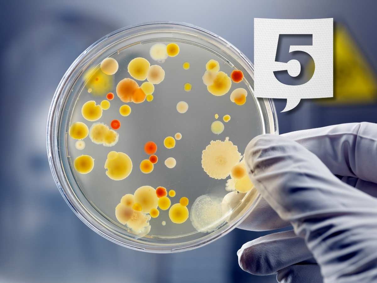 lente di ingrandimento con batteri e mano che tiene numero 5 