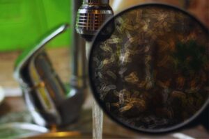 Lavabo cucina aperto e vetrino contenente batteri