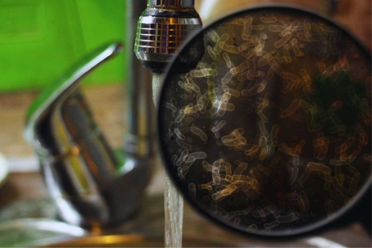 Lavabo cucina aperto e vetrino contenente batteri