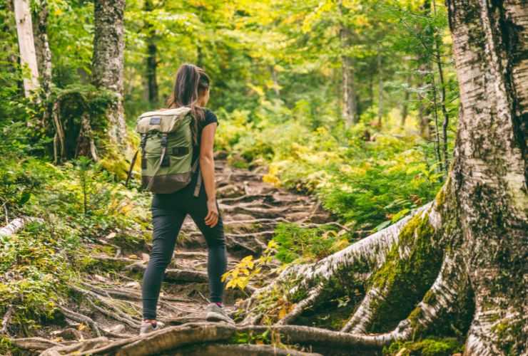 persona nel bosco