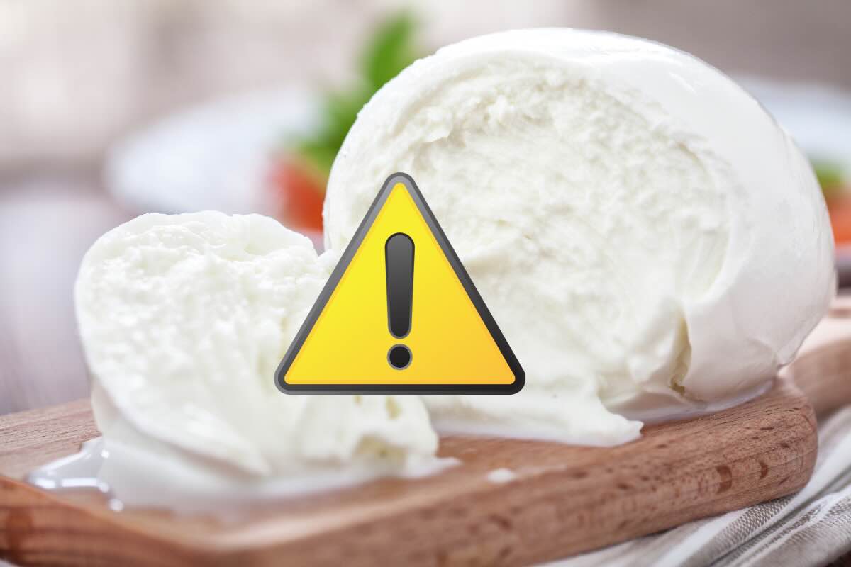 mozzarella segnale attenzione giallo