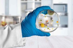 sfondo cucina mano che mostra petris di germi
