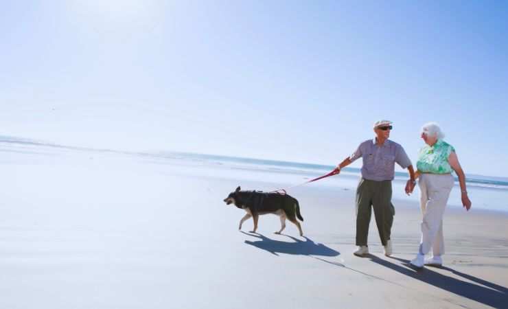 pensionati e cane