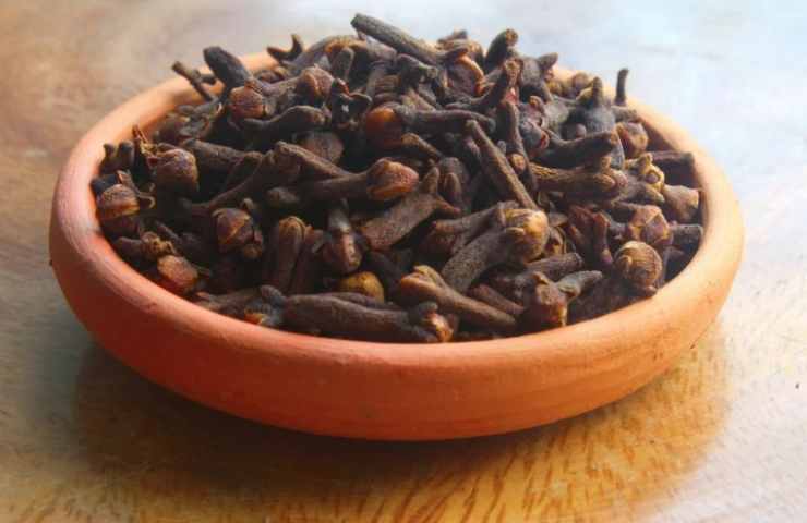 Ciotola con chiodi di garofano