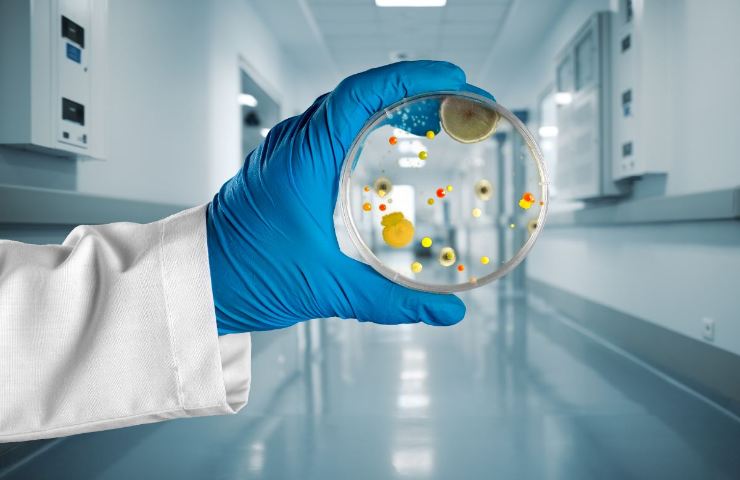 Persona tiene in mano una cultura batterica in ospedale