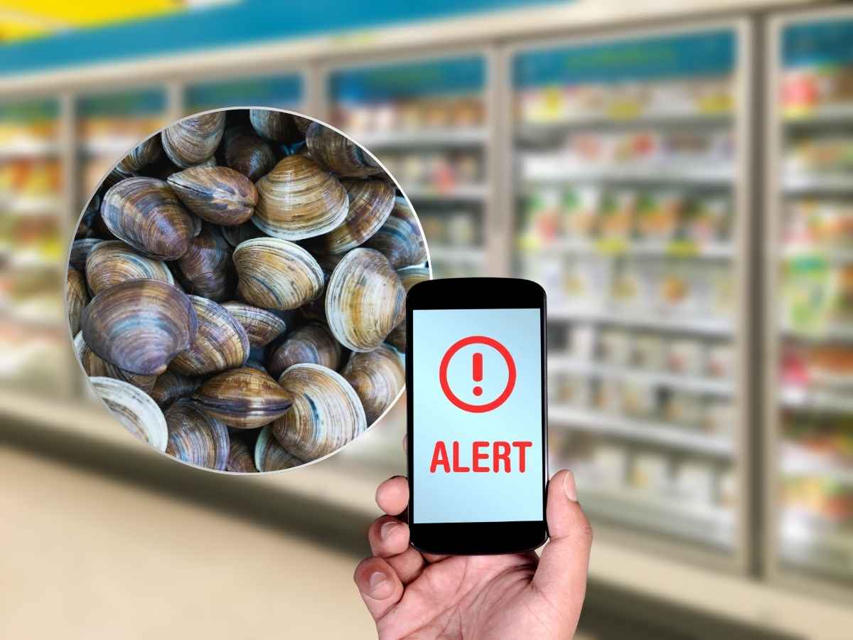 jene-stephaniuk-lkmGeyLItrw-unsplash-ls allerta supermercato vongole surgelate