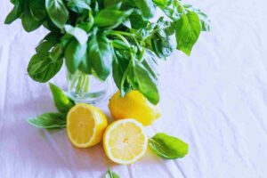 basilico in un bicchiere con l'acqua e dei limoni tagliati a metà