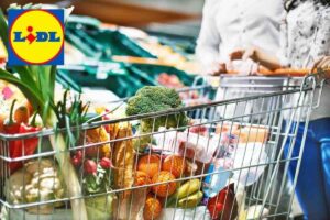 Fare la spesa, carrello, logo LIDL