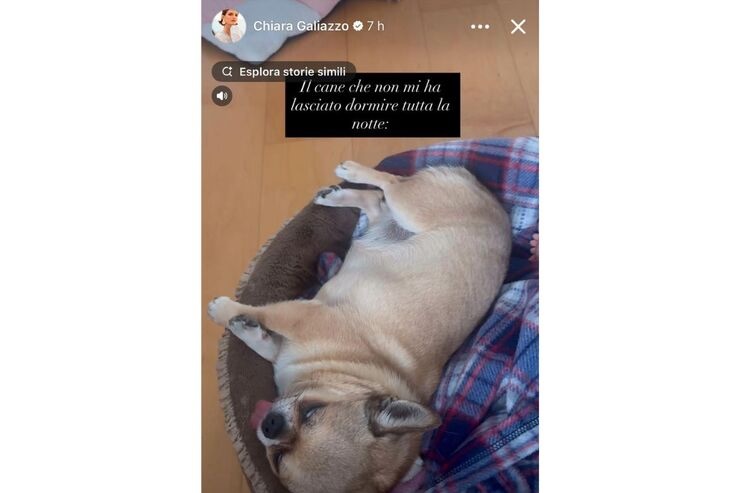 Storia Chiara Galiazzo con cane 