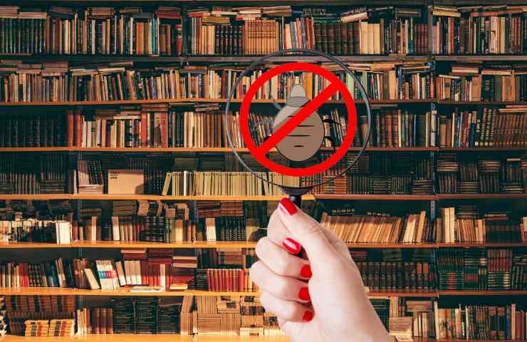 Persona controlla con la lente d'ingrandimento le cimici dei letti in una libreria