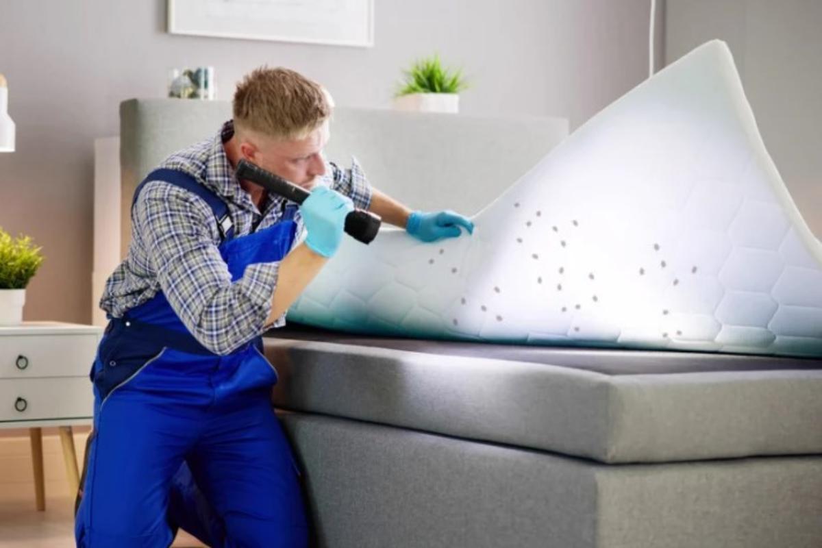 Uomo controlla il materasso per le cimici dei letti