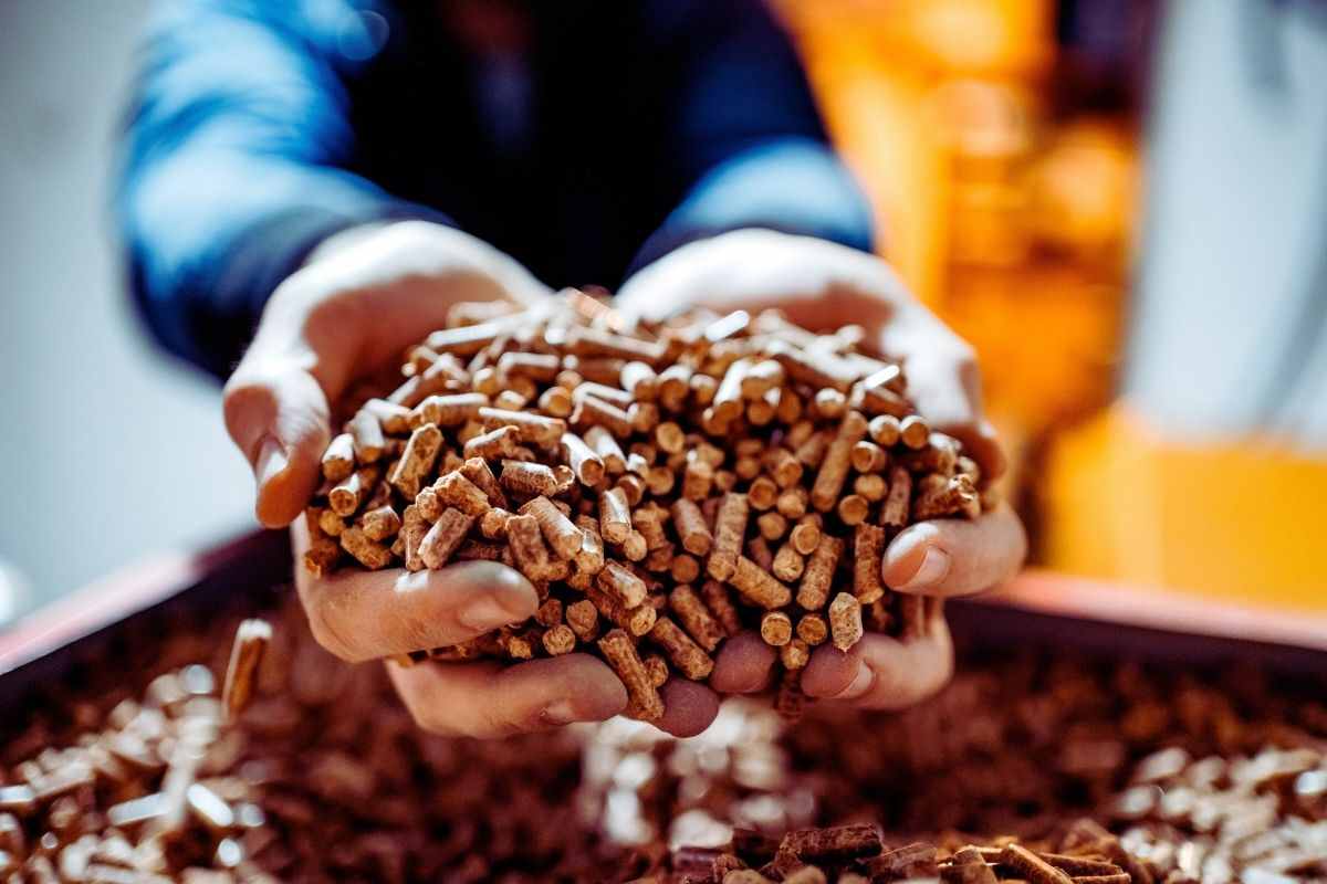mani che tengono pezzi di pellet