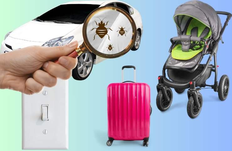 lente d'ingrandimento che evidenzia le cimici dei letti nell'automobile, passeggino, interruttori e valigia : tutti posti in cui potrebbero infestare le cimici