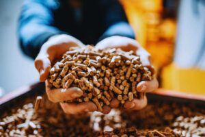 pellet tra le mani