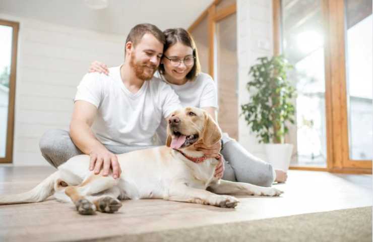 uomo e donna con cane in casa 