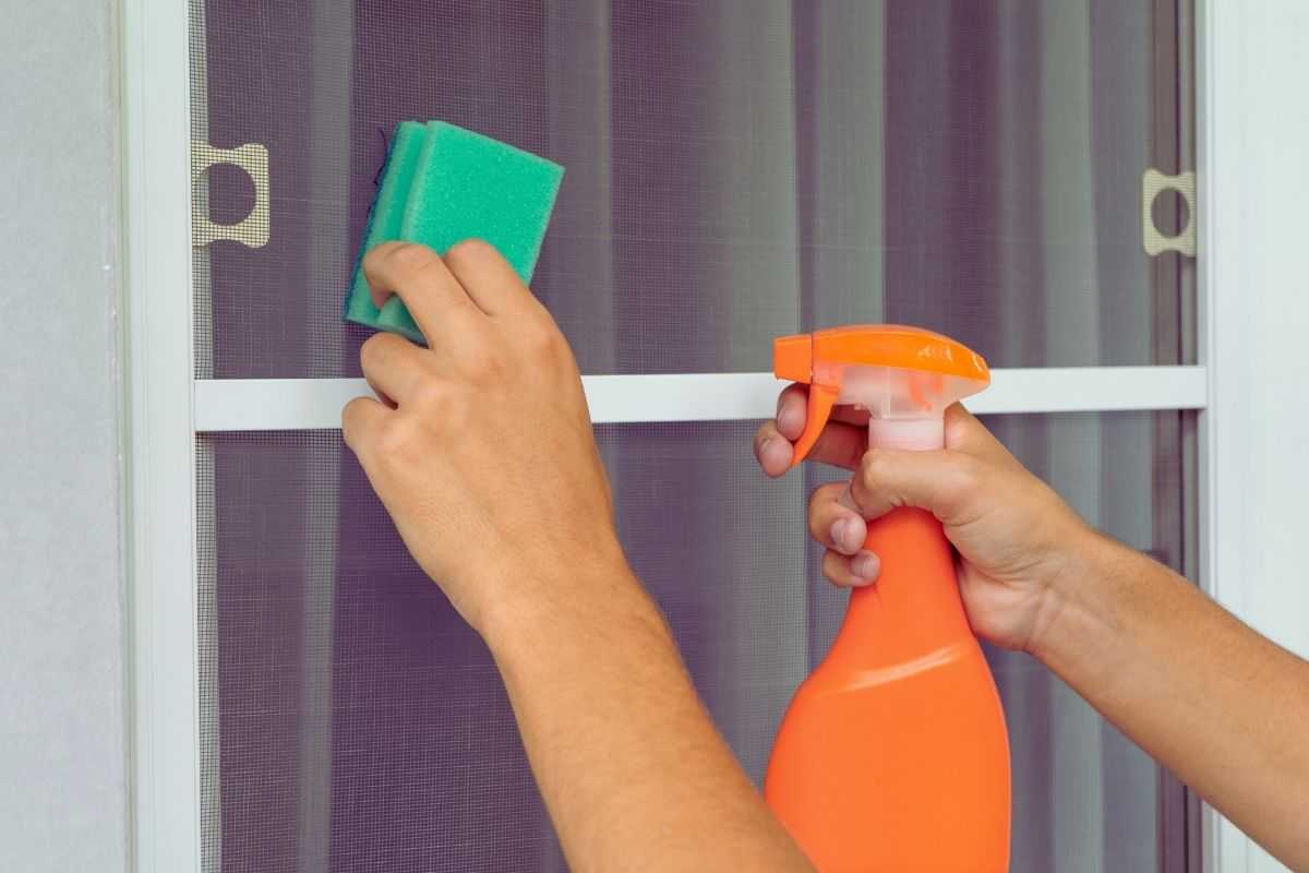 persona pulisce con spugna e spruzzino la zanzariera