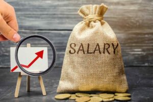 grafico e sacco con scritto salary