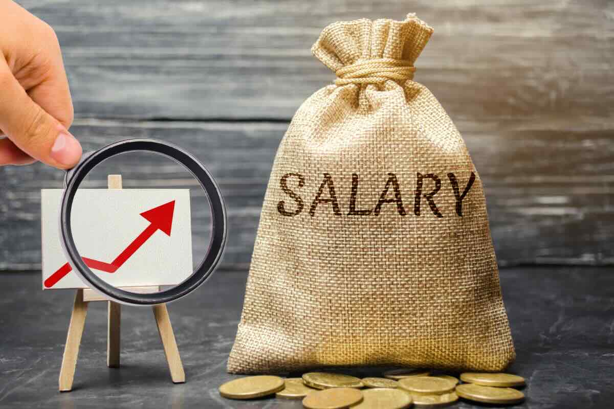 grafico e sacco con scritto salary