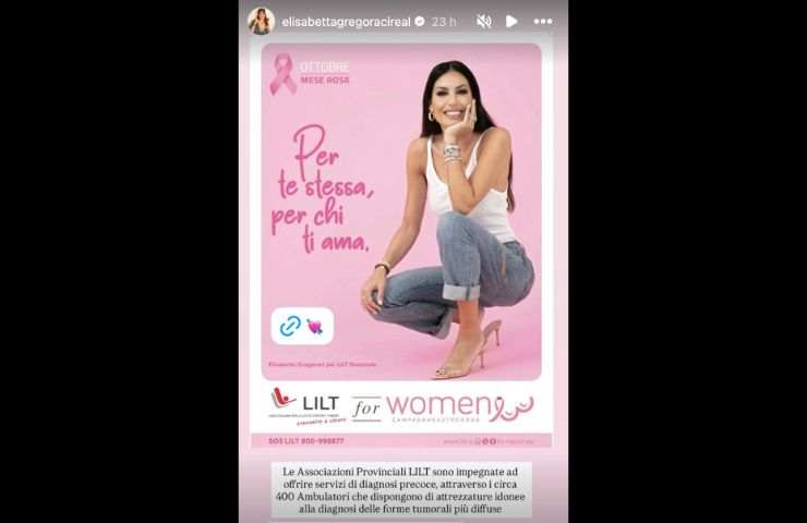 storia su instagram di elisabetta gregoraci