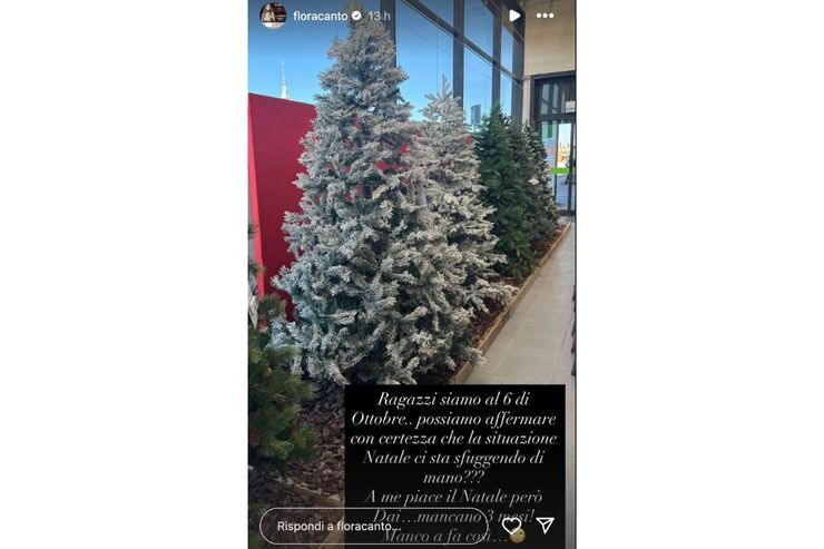 ig story flora canto