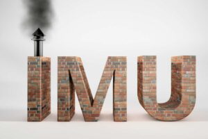 imu