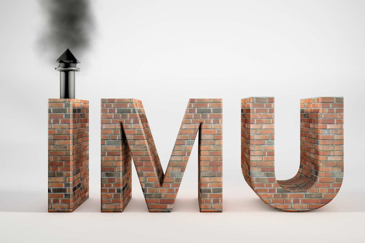 imu