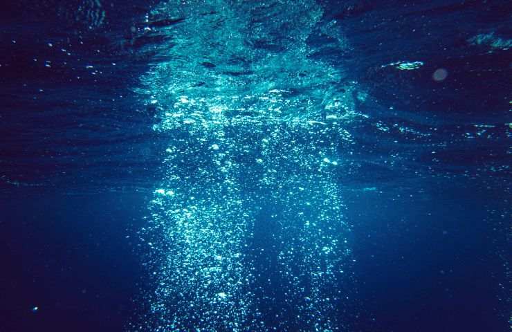 acqua