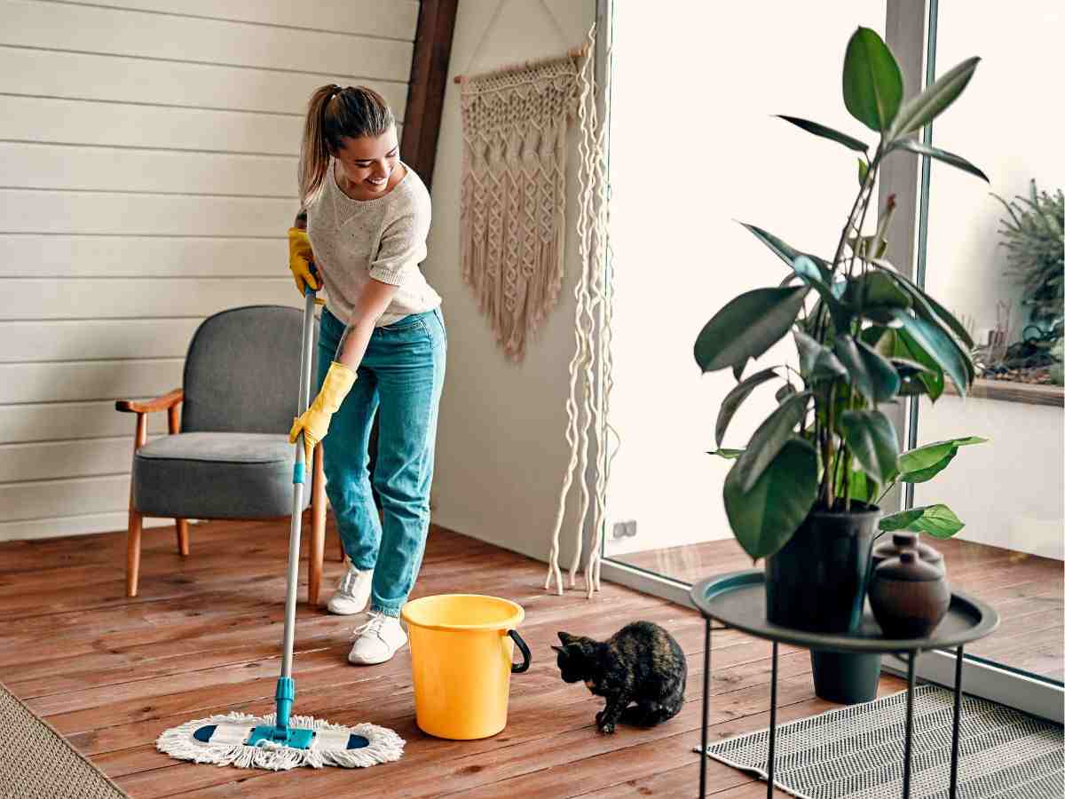 Scopri gli Angoli Inaspettati della Tua Casa dove si Nasconde la Polvere: Come Pulirli e Prevenire il loro Ritorno